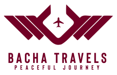 Bacha Travels